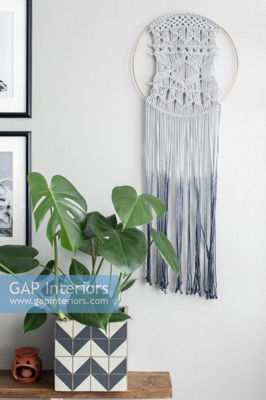 Hanging macrame art with monochrome potted plant