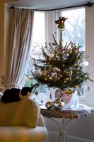 Living room with christmas tree beside the front window and cat sleeping on the settee