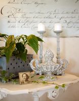 Houseplant, photo and ornamets on table