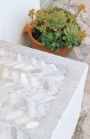 Close-up of a step and potted succulents