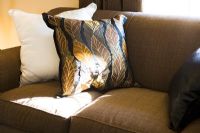 Sunlight hitting cushion on sofa