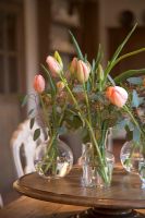 Tulips in vases on dining table detail 