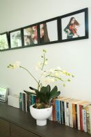 Plant on sideboard
