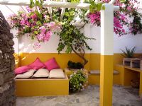 Courtyard with seating area and Bouganvillea climbing on pergola