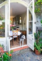 Dog standing at French windows