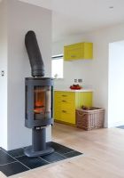 Modern wood burning stove 
