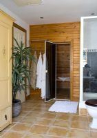 Modern bathroom with sauna 