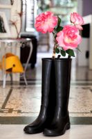Pink Roses in wellington boots