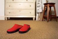 Red shoes on living room floor