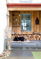 Pet dog lying on veranda 
