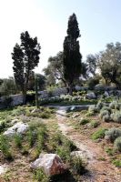 Path through Greek garden