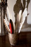 Feathers in metal mug
