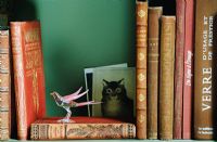 Glass bird on bookshelf 
