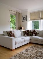 Corner sofa in modern living room 