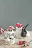 Novelty egg cups in shape of animals 
