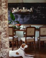 Pet dog in country dining room 