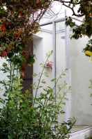 Plants and flowers outside glazed doors 
