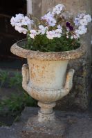 Country urn with flowering plants 