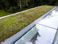 Detail of green roof and skylight windows 