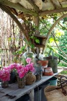 Flowers on potting bench