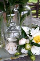 Glass cloche and flowers
