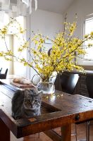 Cat on dining table