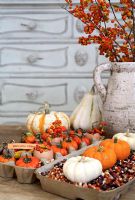 Detail of display of pumpkins 