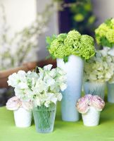 Display of flowers in various vases 