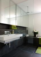 Contemporary shower room