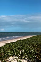 Beach view, Bahia, Brazil