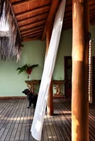 Dog sitting on tropical wooden porch
