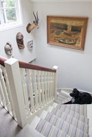 Dog sitting on stairs