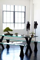 Minimal dining room with display of Bonsai - tree on left is Chinese Maple