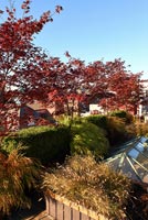 Modern roof garden with raised beds in autumn