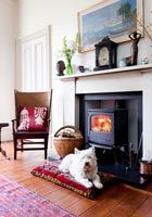 Dog sitting by fireplace