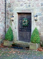 Door with Christmas wreath