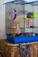 Colourful pet cage