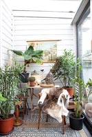 Houseplants in conservatory