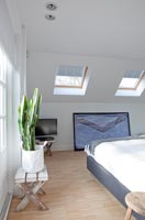 Modern bedroom with cactus by window