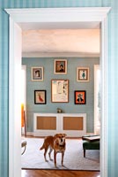Blue living room with pet dog