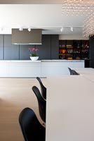 Contemporary open plan kitchen and dining room