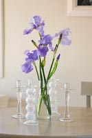 Purple Irises in glass vase