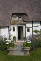 Entrance to cottage with pots of Geraniums and Lavender