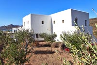 Traditional Greek villa and Olive trees