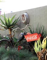 Tropical garden with display of vintage objects