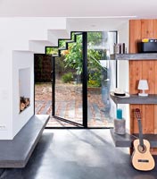 Contemporary fireplace and glazed door