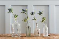 Sea Holly flowers in vintage glass bottles