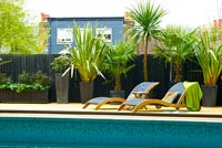 Loungers by swimming pool