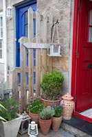 Pots and containers with Lavenders and Box by front door