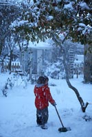 Boy standing in snowy garden
